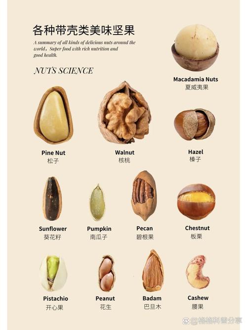 零食与坚果：舌尖上的美味与健康伴侣