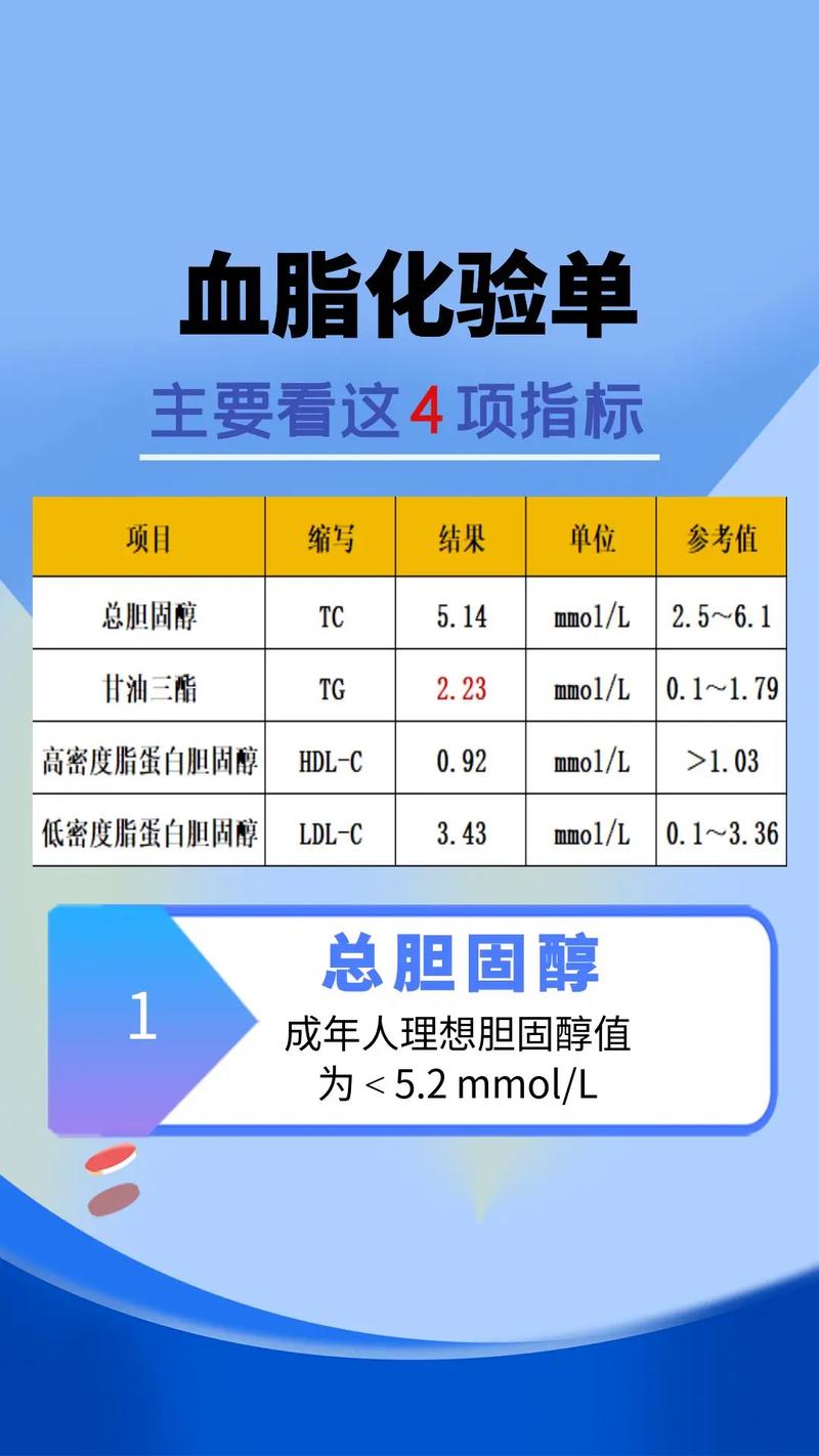 全面解读血脂：健康之钥，生命之源