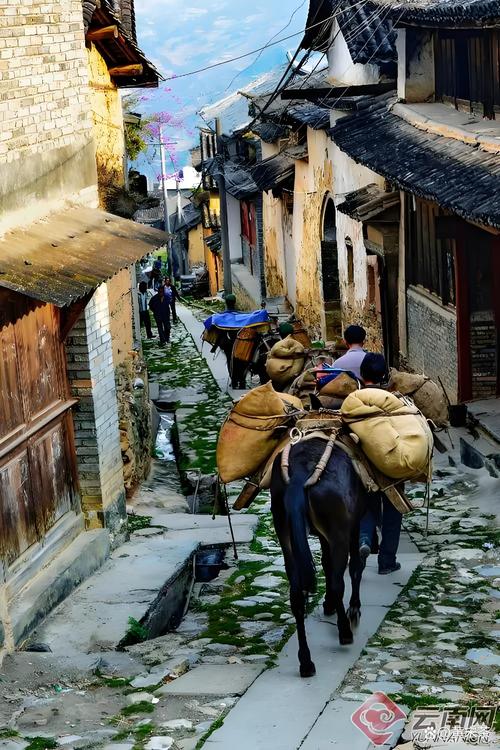 探秘平乐古镇：千年茶马古道，悠悠岁月情
