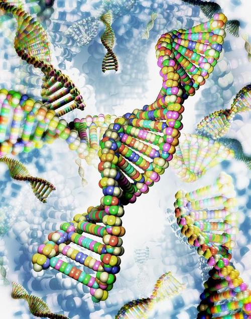 CRISPR：基因编辑的神奇钥匙——开启精准医学与生命科学的新纪元