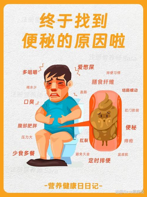 详细阅读:便秘:成因、危害与应对策略全解析 便秘:成因、危害与应对策略全解析