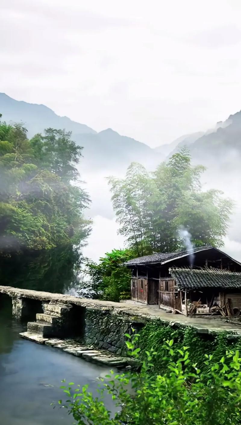 雾中山：隐匿于云雾间的世外桃源