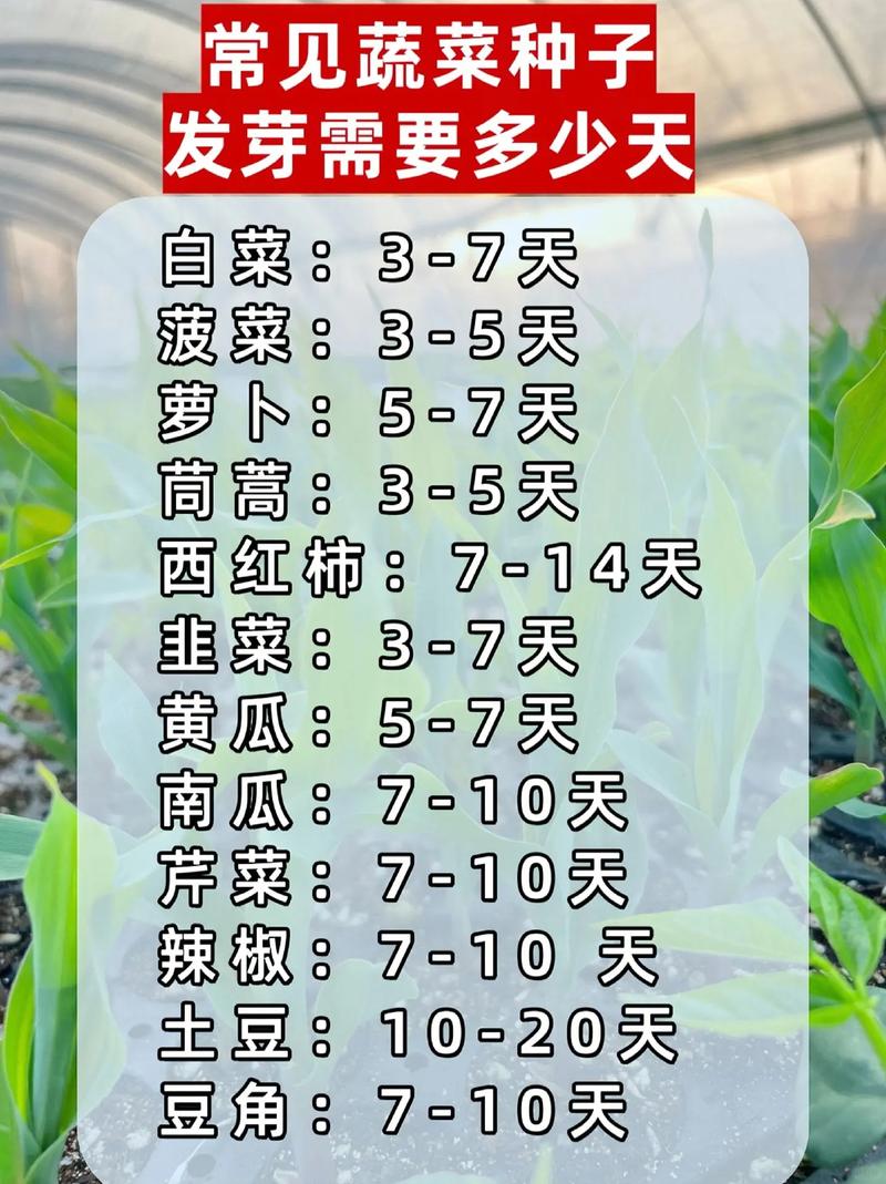食材新鲜度变化：从田间到餐桌的保鲜密码