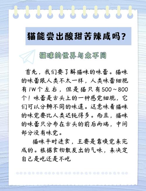 探秘食物风味持久性：从成因到影响因素的深度剖析