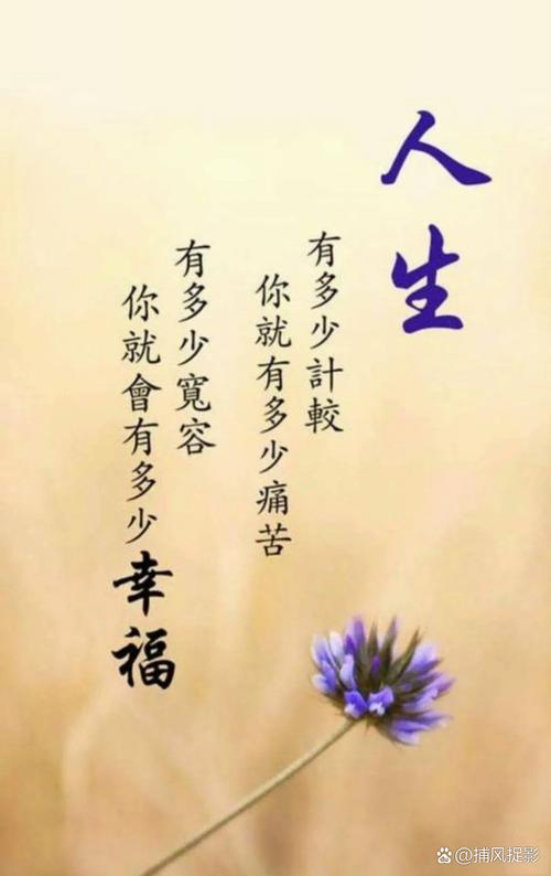 自信的宽容：心灵之桥，通向和谐与成长