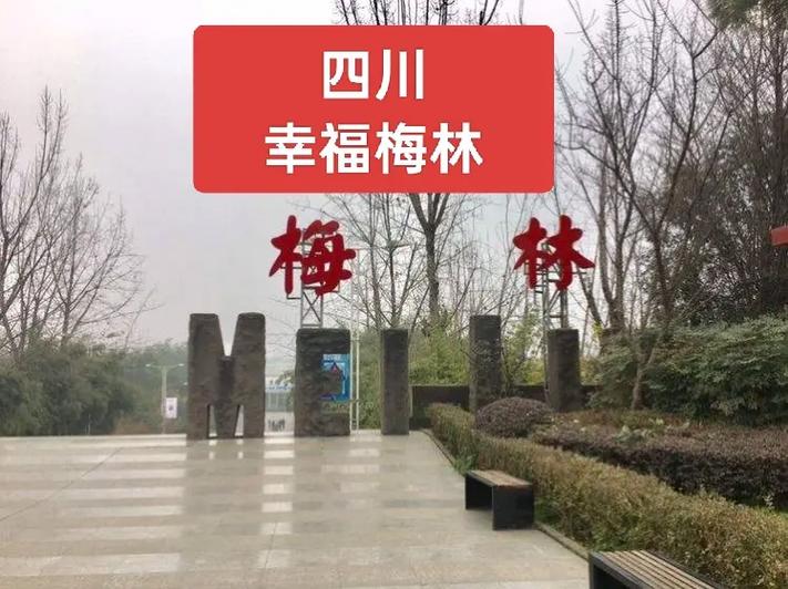 幸福梅林：城市中的世外桃源