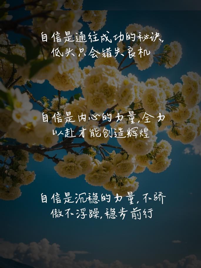 自信的专注：通往成功与幸福的力量源泉