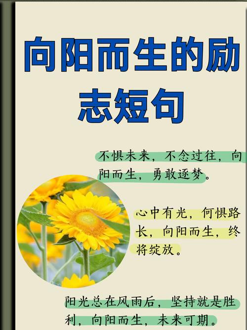 自信：人生最美的底色，无畏前行的底气