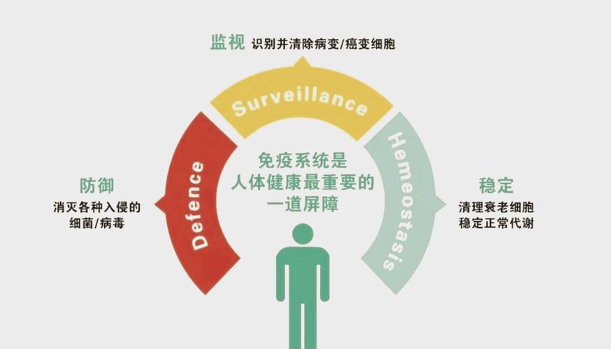 免疫力：人体的健康卫士与生命防线