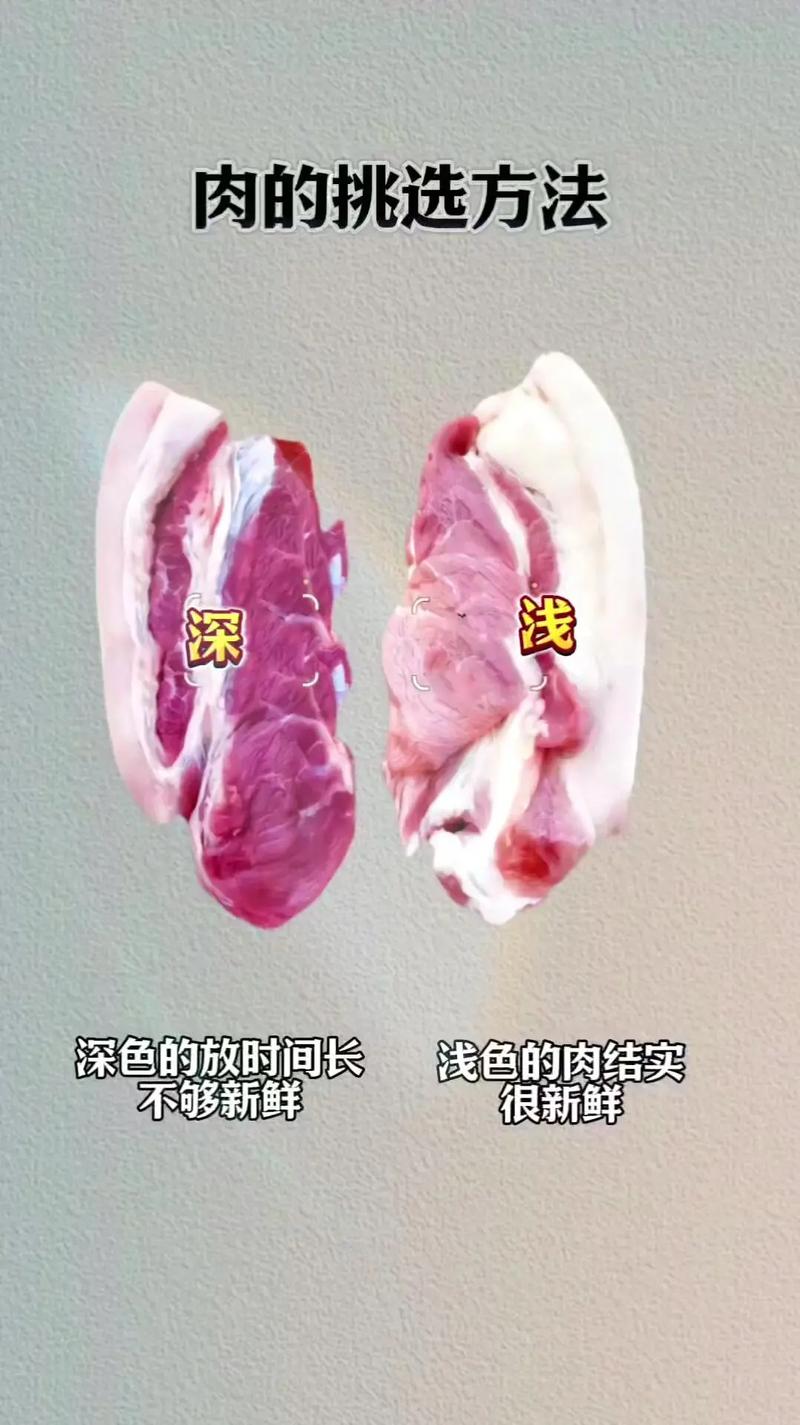食材新鲜度影响因素的深度剖析