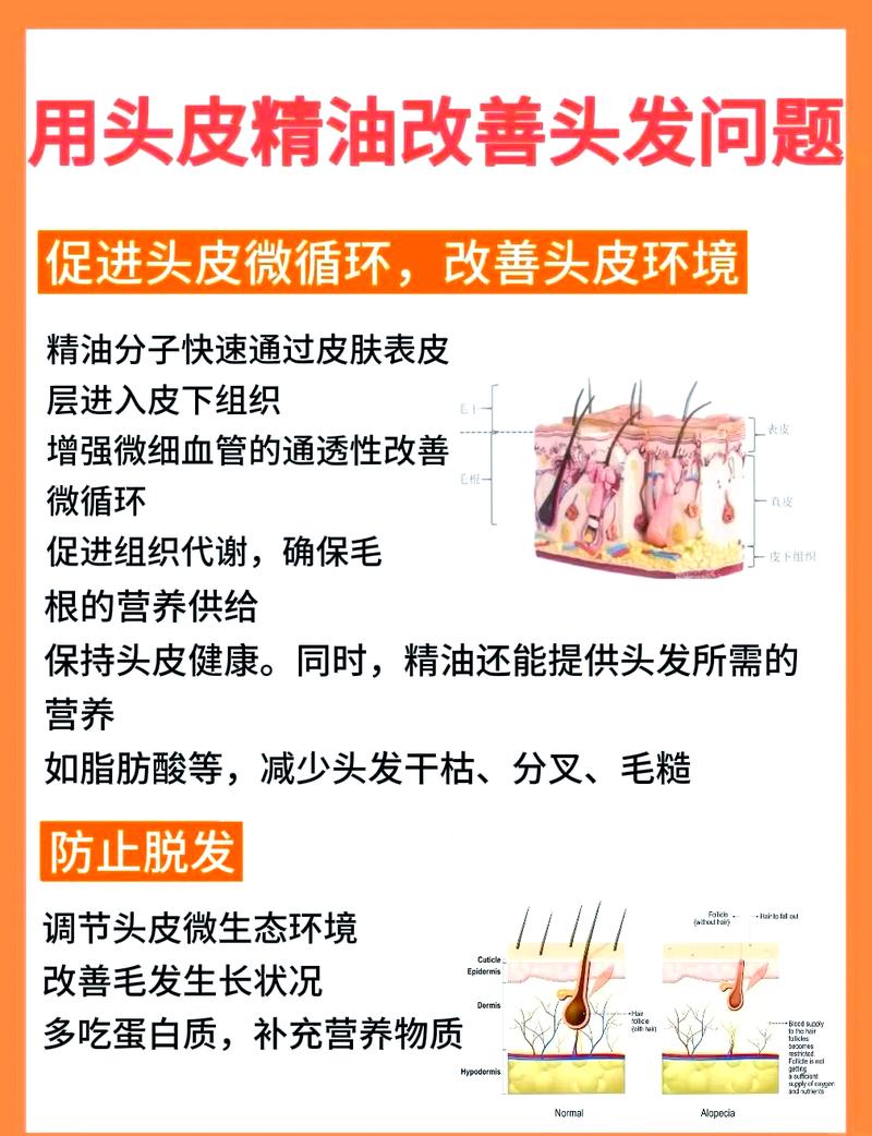头皮瘙痒的全方位解决之道：从根源分析到生活细节调整，重拾健康舒适