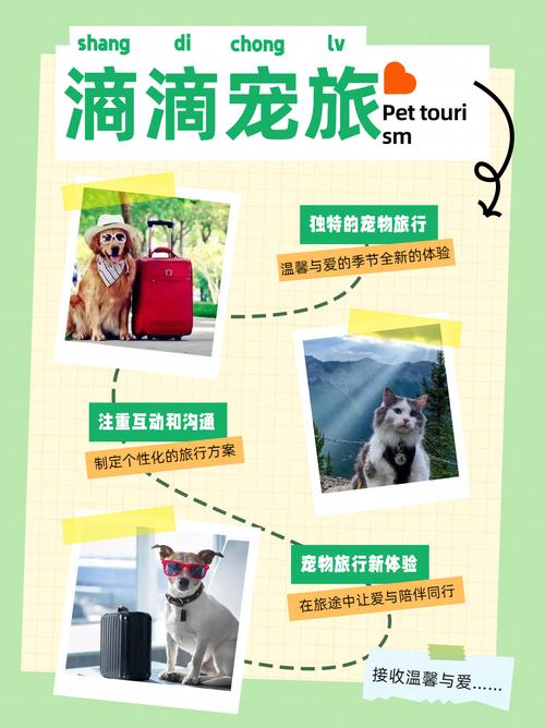 详细阅读:宠物饲养:一场充满乐趣与温情的奇妙旅程 宠物饲养:一场充满乐趣与温情的奇妙旅程