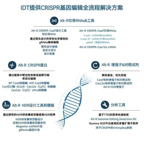 CRISPR-Cas9：基因编辑领域的革命性突破