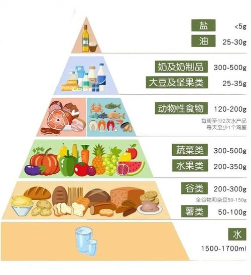 食物营养均衡改善程度：从理念到实践的全面剖析