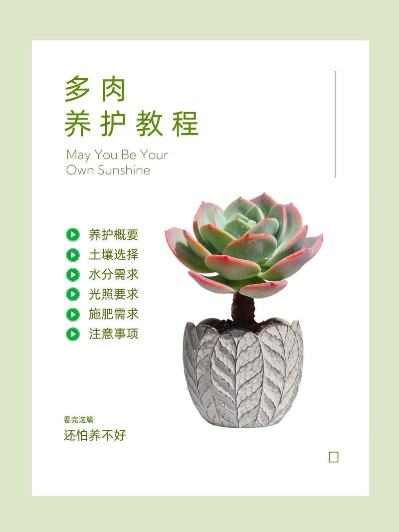 绿植养护难度：多维度解析与应对策略