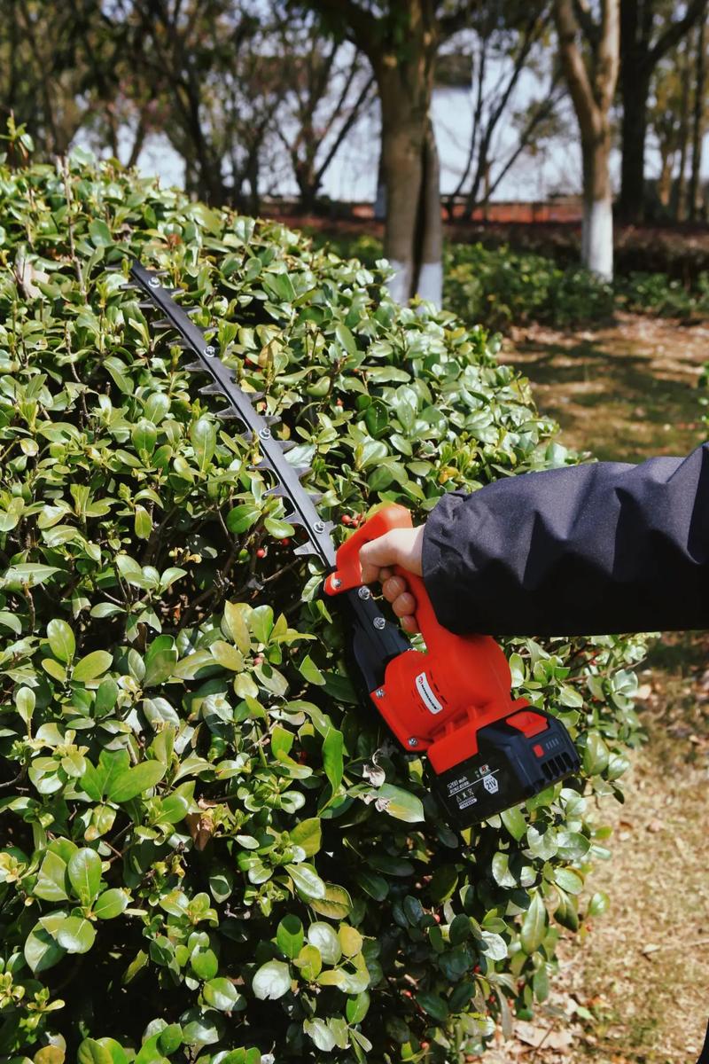 园林工具：园林工作的得力助手，让园艺之美触手可及
