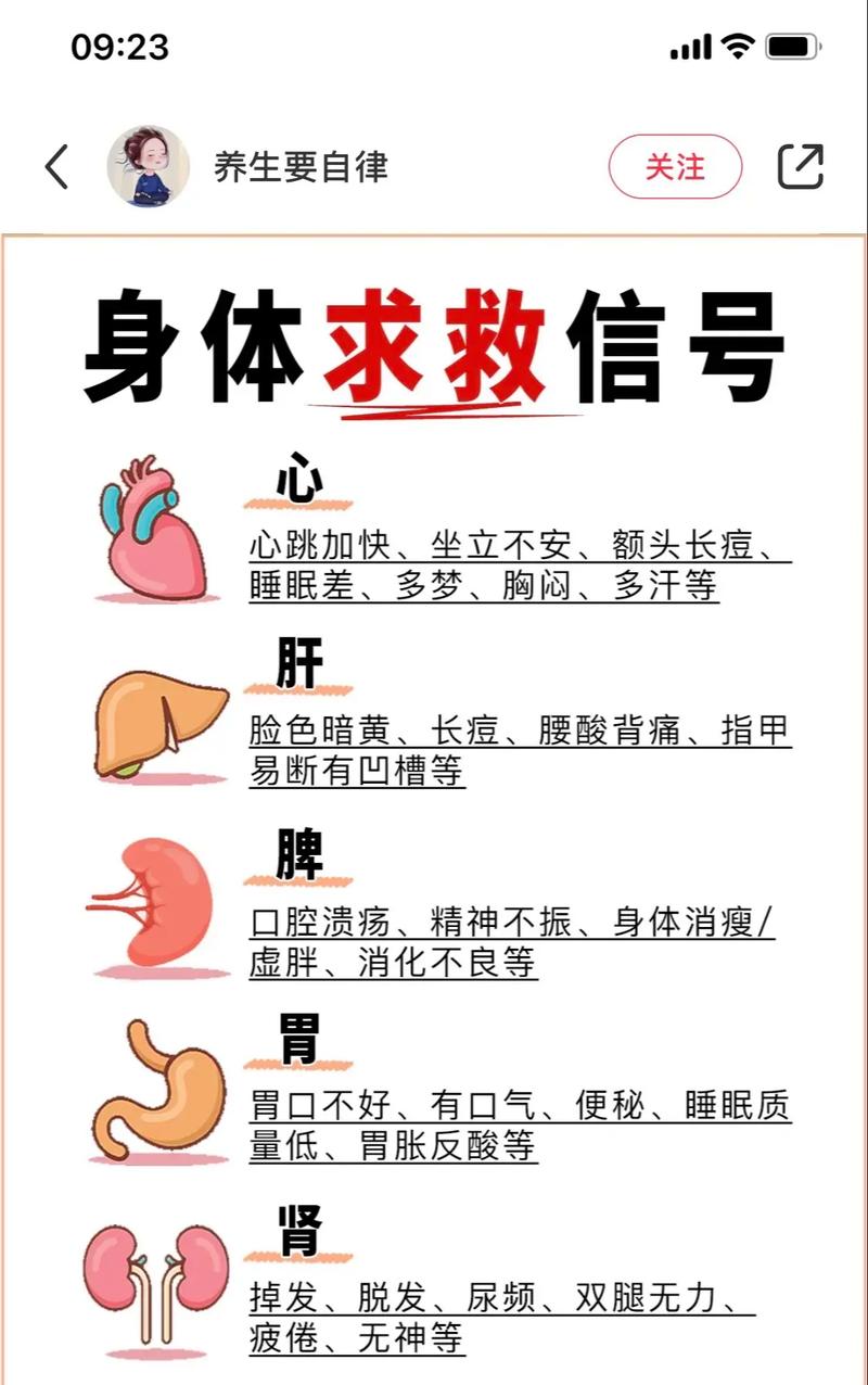 探索症状背后的奥秘：身体的语言与健康密码