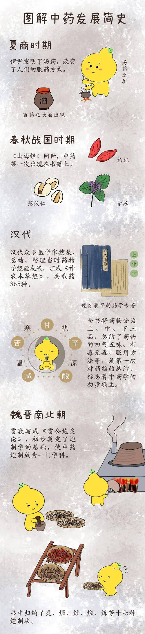 中药：古老智慧的传承与现代价值的闪耀