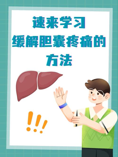 详细阅读:胆囊炎:了解、预防与治疗 胆囊炎:了解、预防与治疗