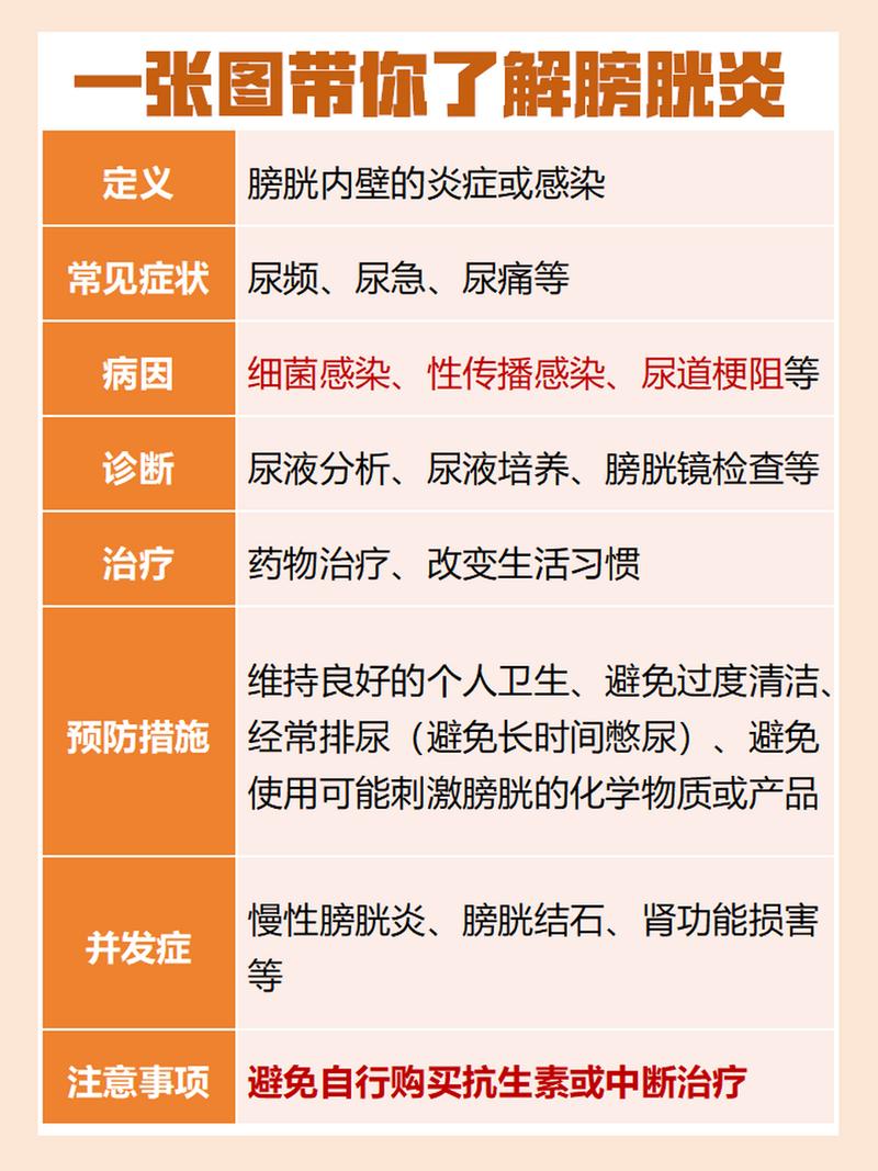 膀胱炎：症状、治疗与预防全解析