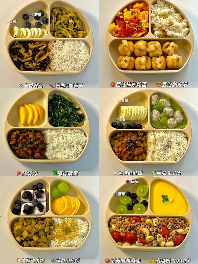 午餐吃什么：一场美食的探索之旅