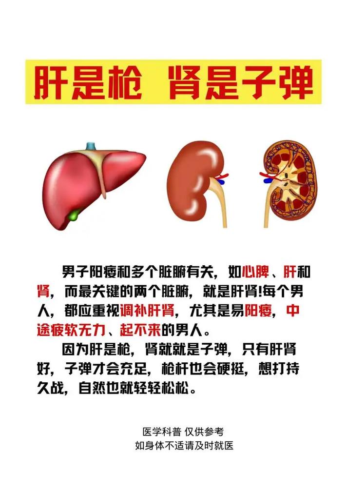 男性健康：常见男科疾病及其防治