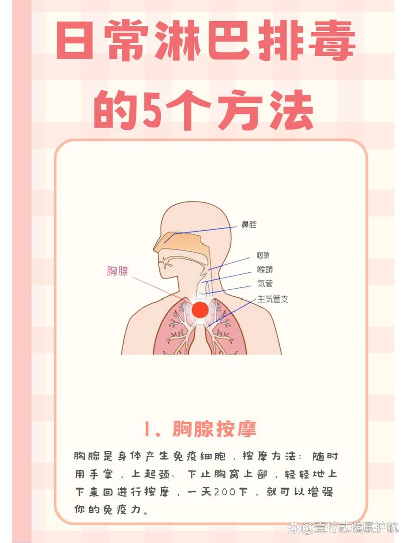 淋巴排毒按摩：重焕身体活力与健康的秘密疗法