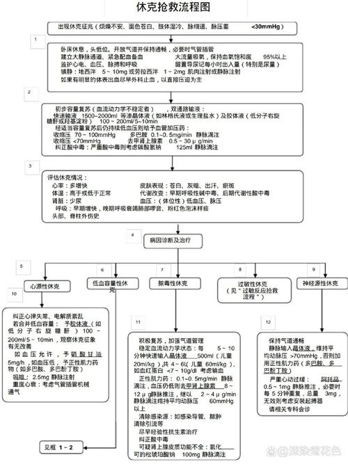 急救知识守护生命：常见急症应对全解析
