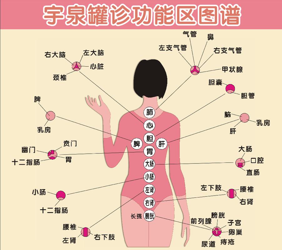 详细阅读:探秘拔罐:古老疗法的现代魅力与科学解析 探秘拔罐:古老疗法的现代魅力与科学解析