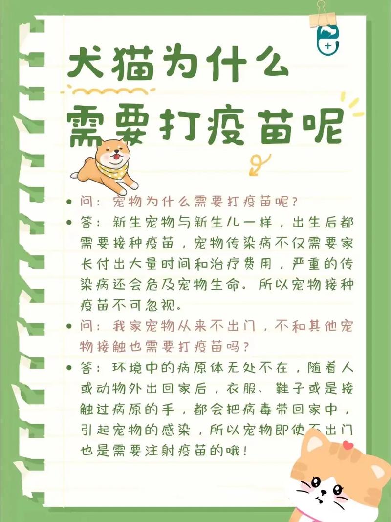 宠物疫苗：守护爱宠健康的坚实护盾