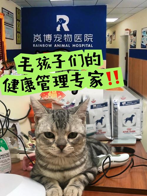 宠物医院服务：全方位守护毛孩子们的健康