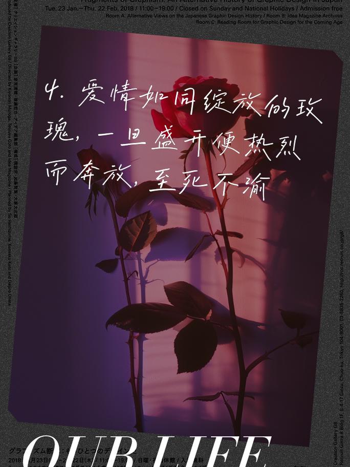 详细阅读:爱,在时光中绽放的永恒之花 爱,在时光中绽放的永恒之花