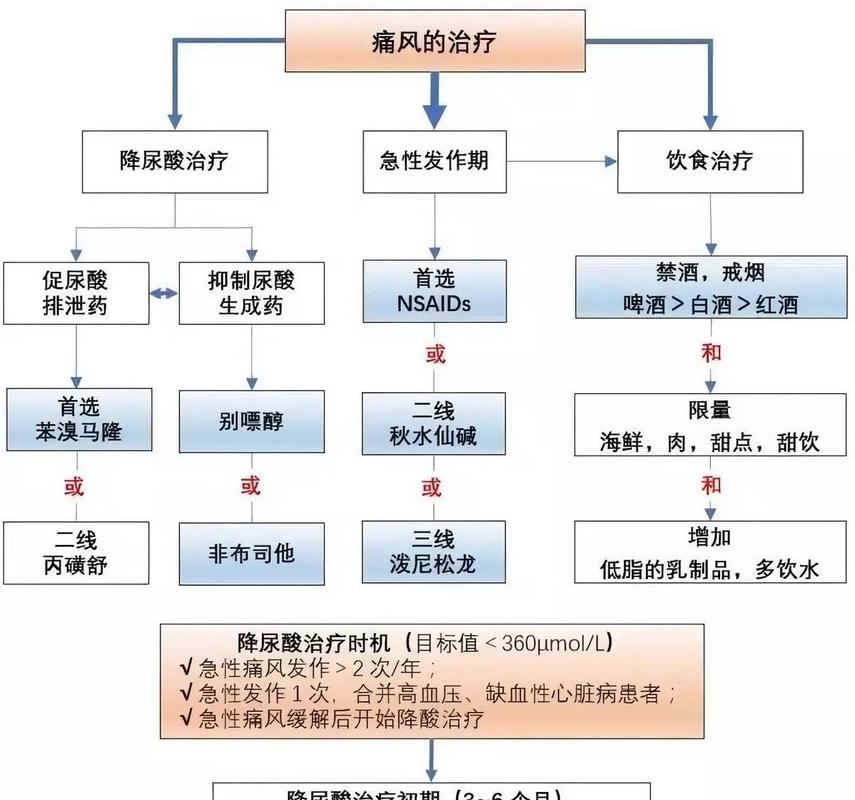 痛风的全面治疗与预防指南