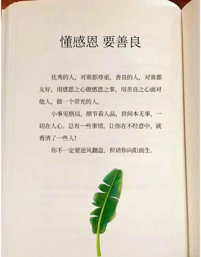 详细阅读:感恩之心,精神的宝藏 感恩之心,精神的宝藏