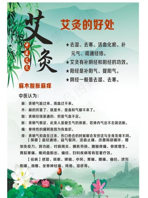 艾灸养生：传统智慧，现代健康的守护之光