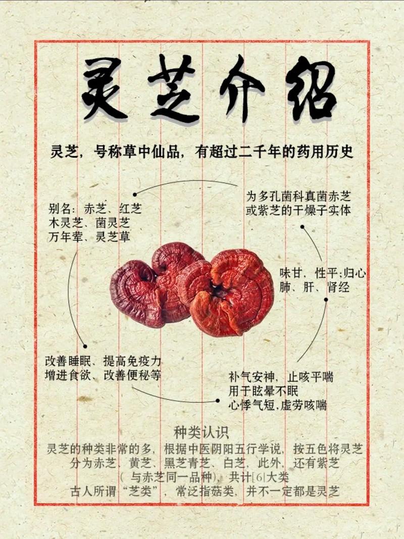 详细阅读:以下是为您生成的一篇关于灵芝养生功效的文章: 以下是为您生成的一篇关于灵芝养生功效的文章: