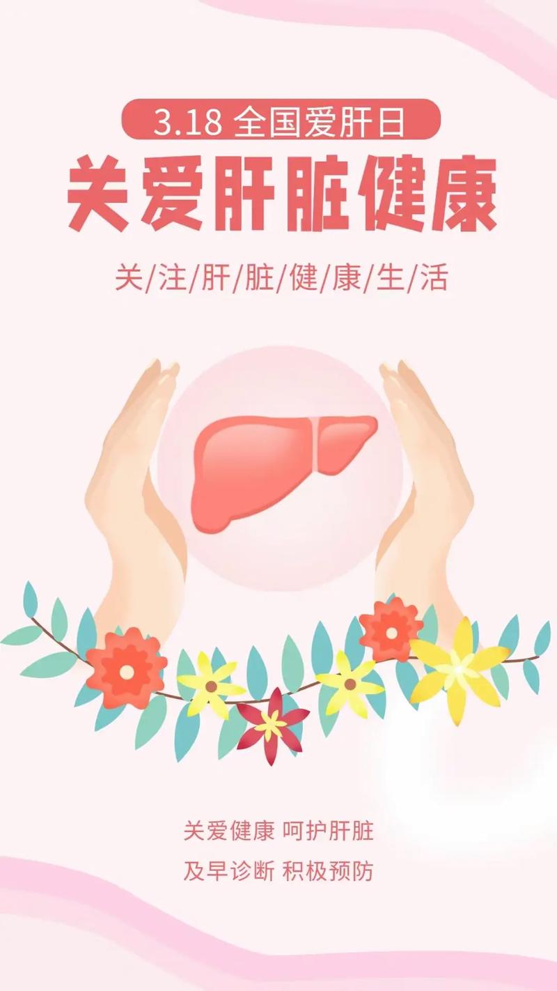 养肝护肝：开启健康生活的智慧之选