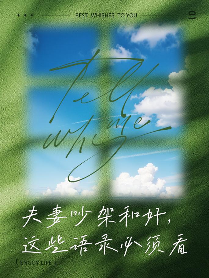 夫妻和好：爱与包容的温暖旅程