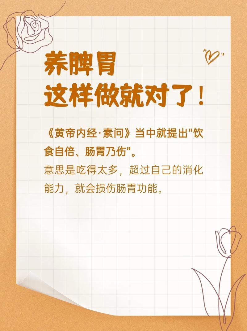 滋养脾胃：从日常饮食开启健康养生之旅