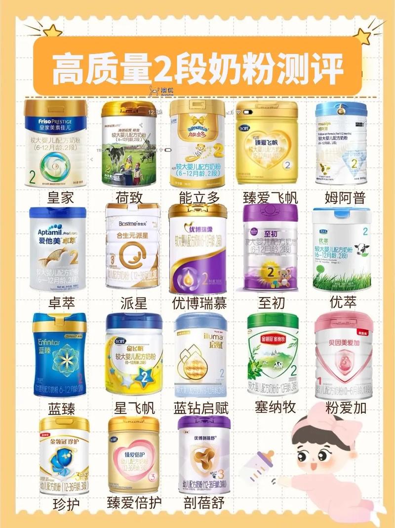 二段奶粉：宝宝成长路上的重要营养伴侣