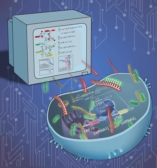 生物信息学：探索生命奥秘的钥匙