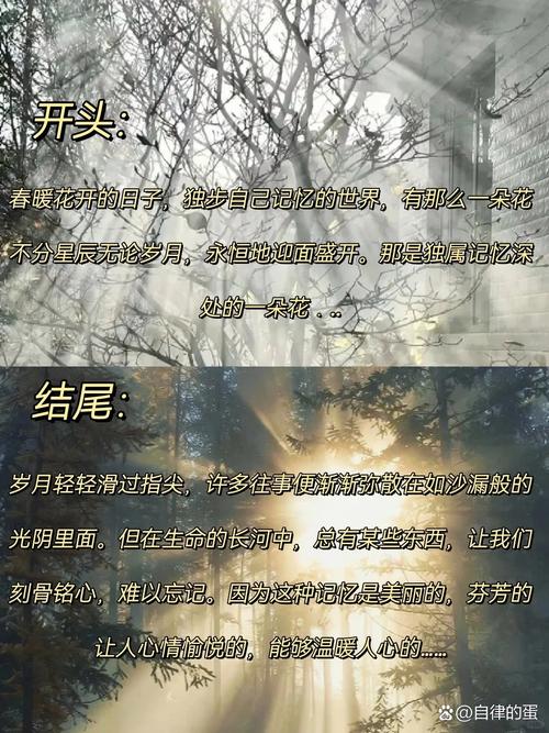 祖孙情：岁月长河中的温暖纽带