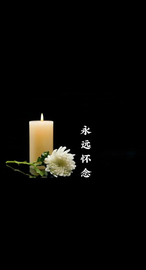 今日节日探寻：那些被时光铭记的特殊时刻