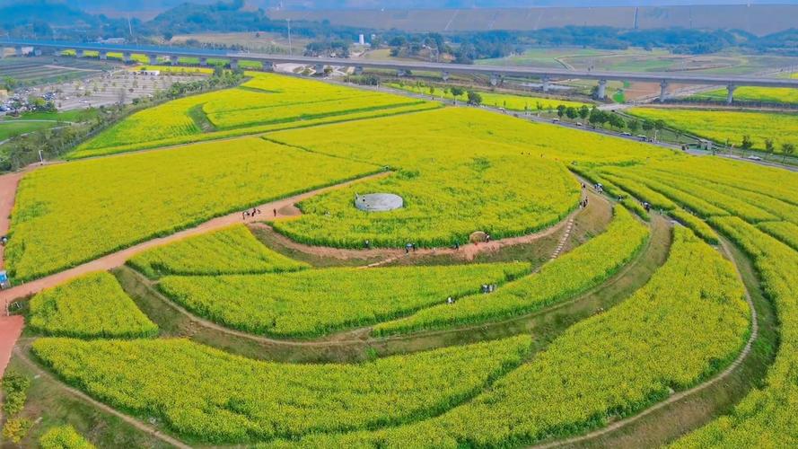 光明小镇欢乐田园：都市边缘的世外桃源与田园梦想的完美交融