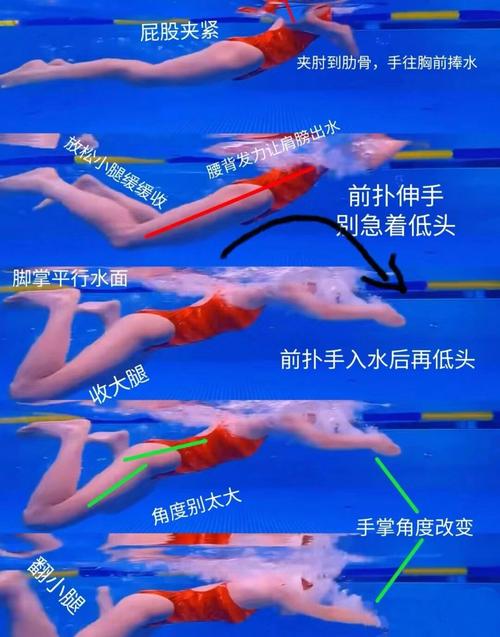 蛙泳技巧全解析与练习指南