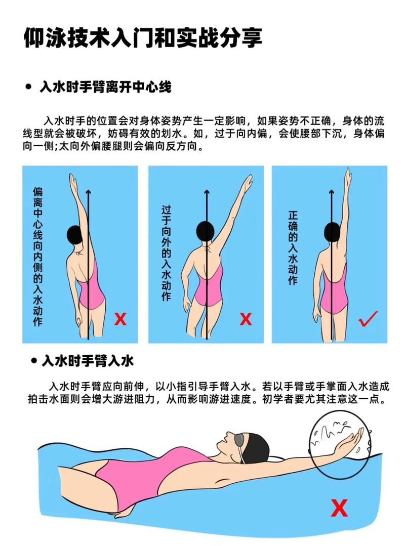解锁仰泳技巧：从理论到实践的全方位指南