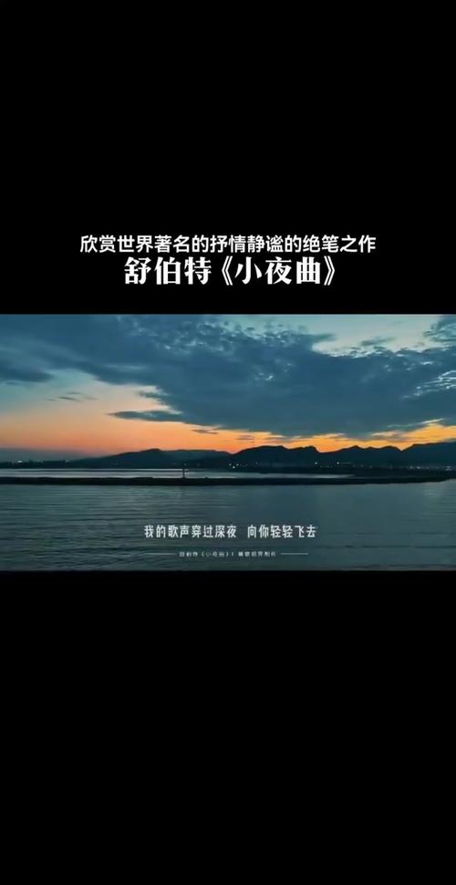 寂寞夜曲：心灵的独白与慰藉