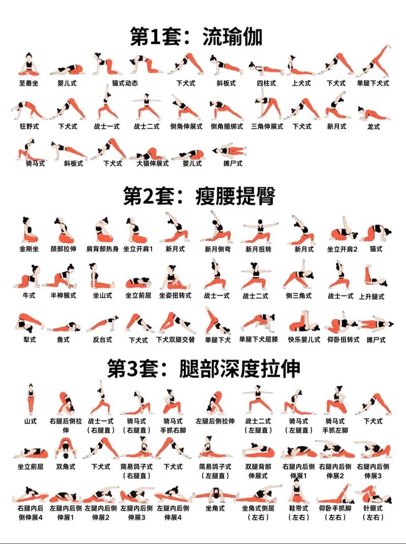 探索瑜伽基本体式：开启身心和谐之旅