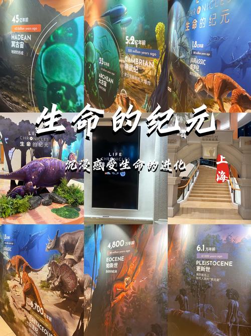 探秘生命演化的奇迹——深圳古生物博物馆之旅