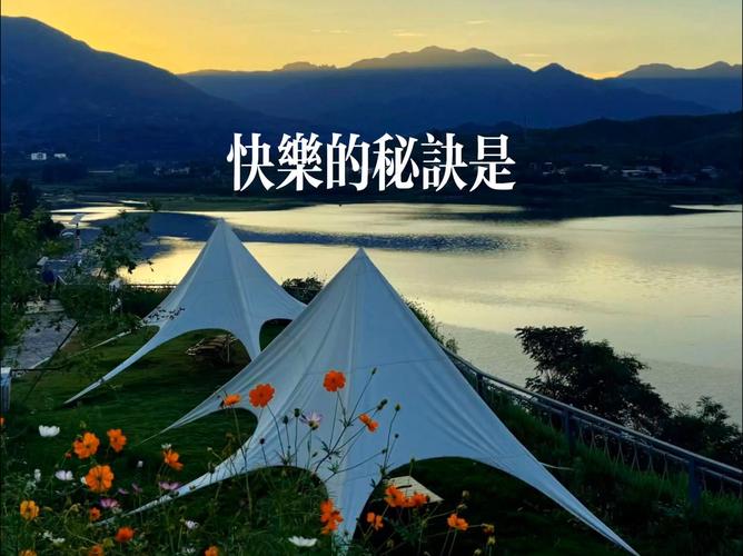 探寻生活中快乐的真谛与源泉
